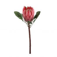 Mica Protea Roze L67cm