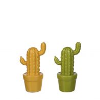 Mica Cactus Assorti L8,5xB6,5xH16cm