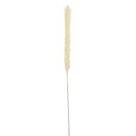 Mica pluimgras 160 cm beige