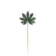 Mica Aralia blad 66 cm groen