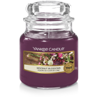 Yankee Candle Moonlit Blossoms small jar