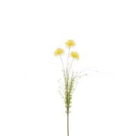 Mica Dried-Look Allium 60cm Geel